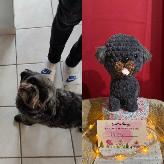Chien Personnalisable Crochet