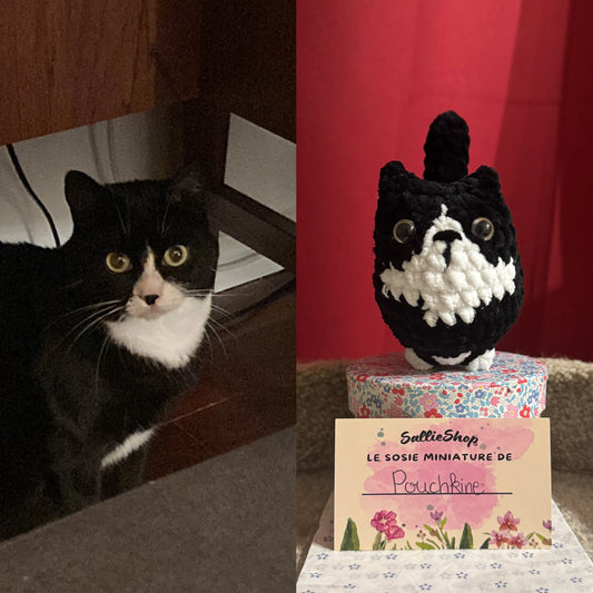 Chat Personnalisable Crochet
