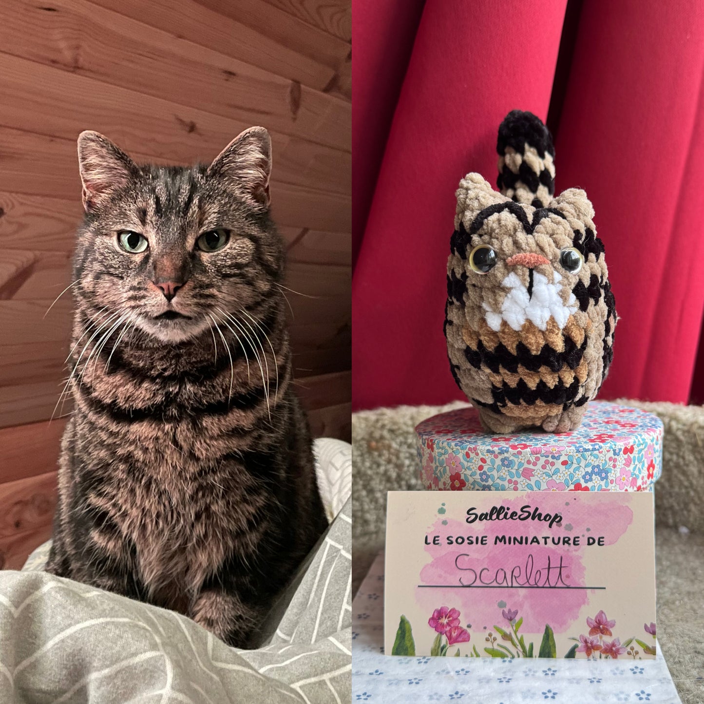 Chat Personnalisable Crochet
