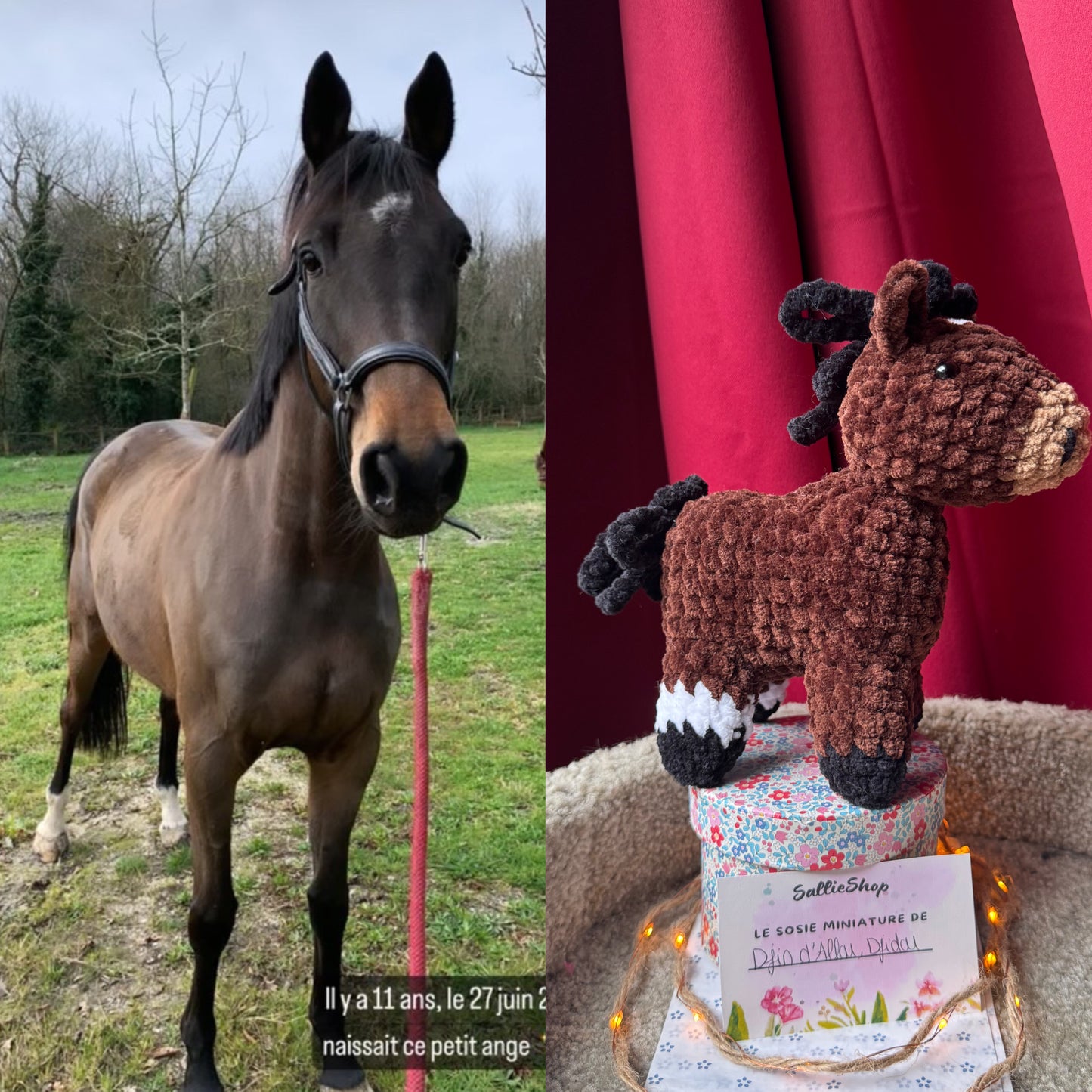 Peluche de Cheval Personnalisée au Crochet