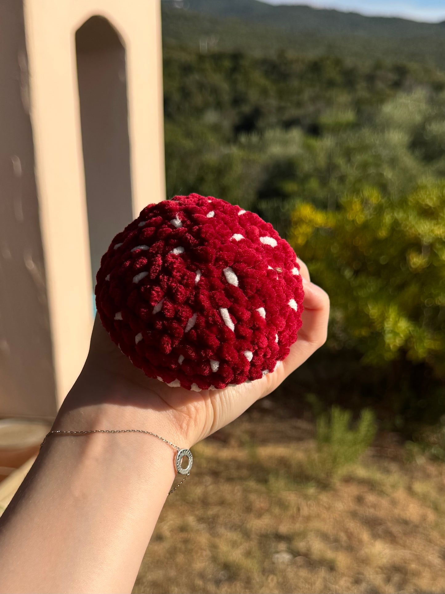 Champignon au Crochet