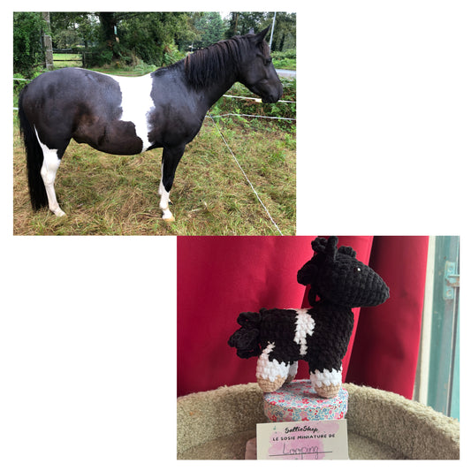Cheval Personnalisable Crochet