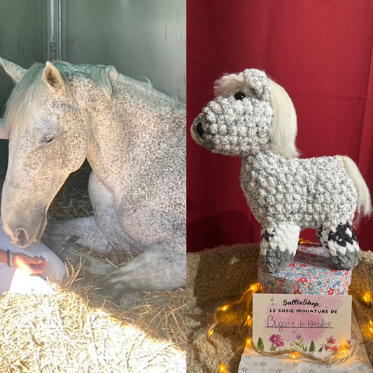 Cheval Personnalisable Crochet