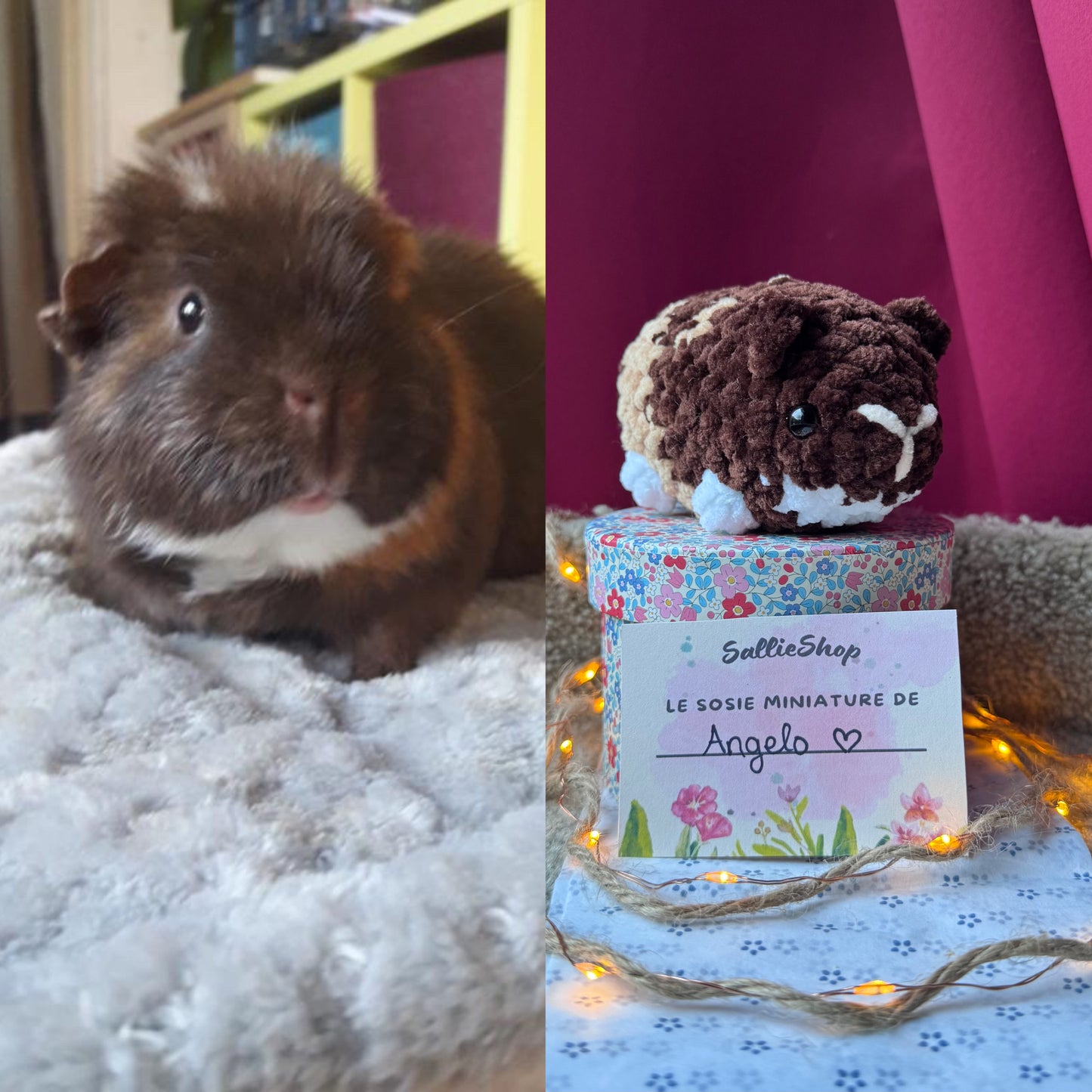 Cochon d’Inde Personnalisable Crochet