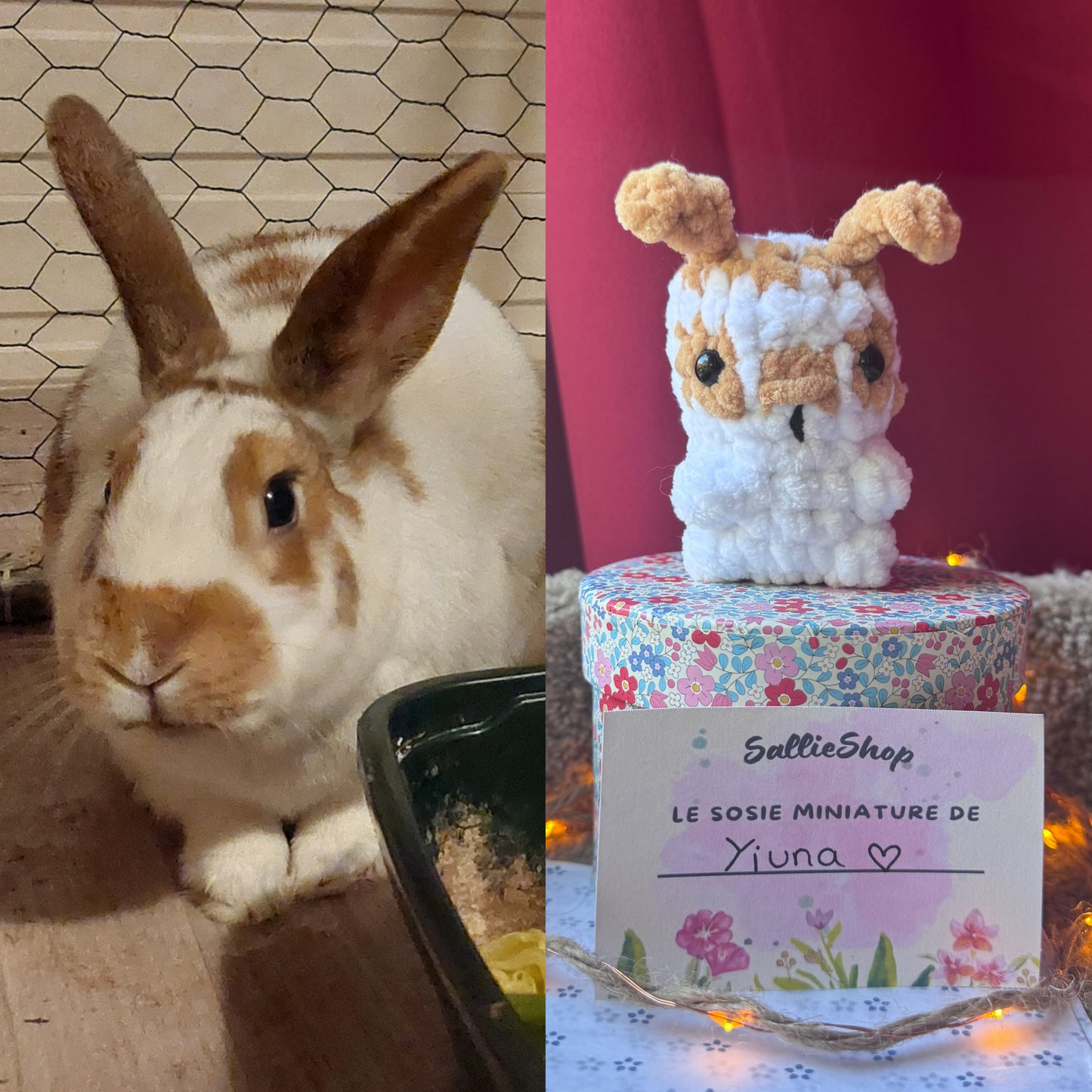 Lapin Personnalisable Crochet