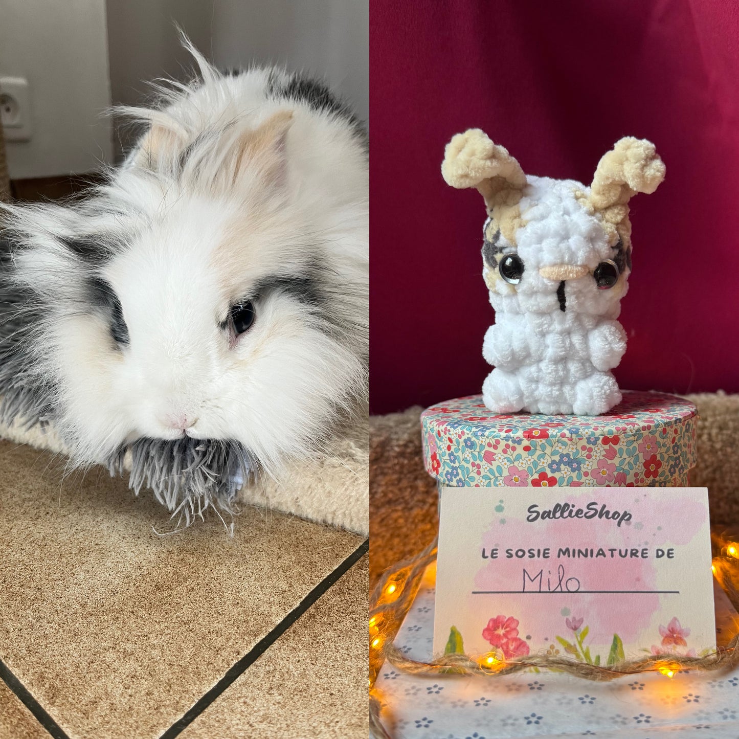 Lapin Personnalisable Crochet