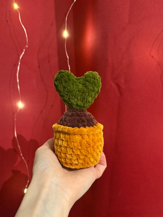 Plante Cœur Crochet