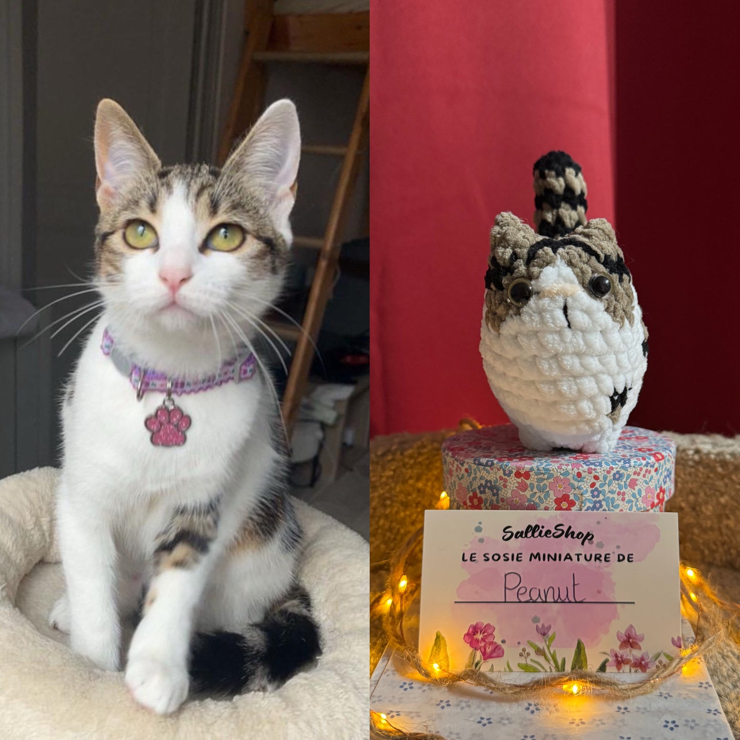 Chat Personnalisable Crochet
