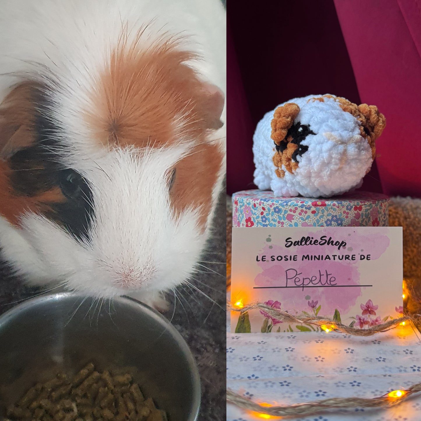 Cochon d’Inde Personnalisable Crochet