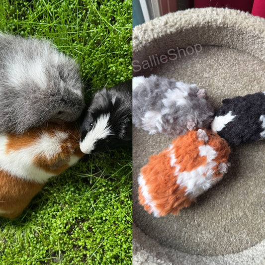 Cochon d’Inde Personnalisable Crochet