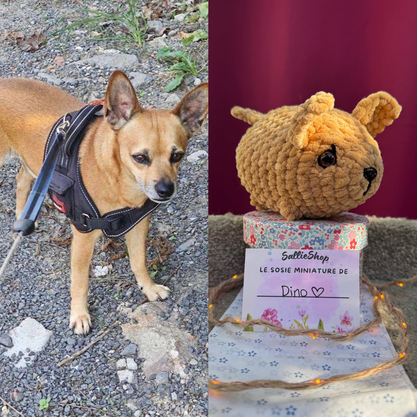 [À la demande] Chien Personnalisable Crochet