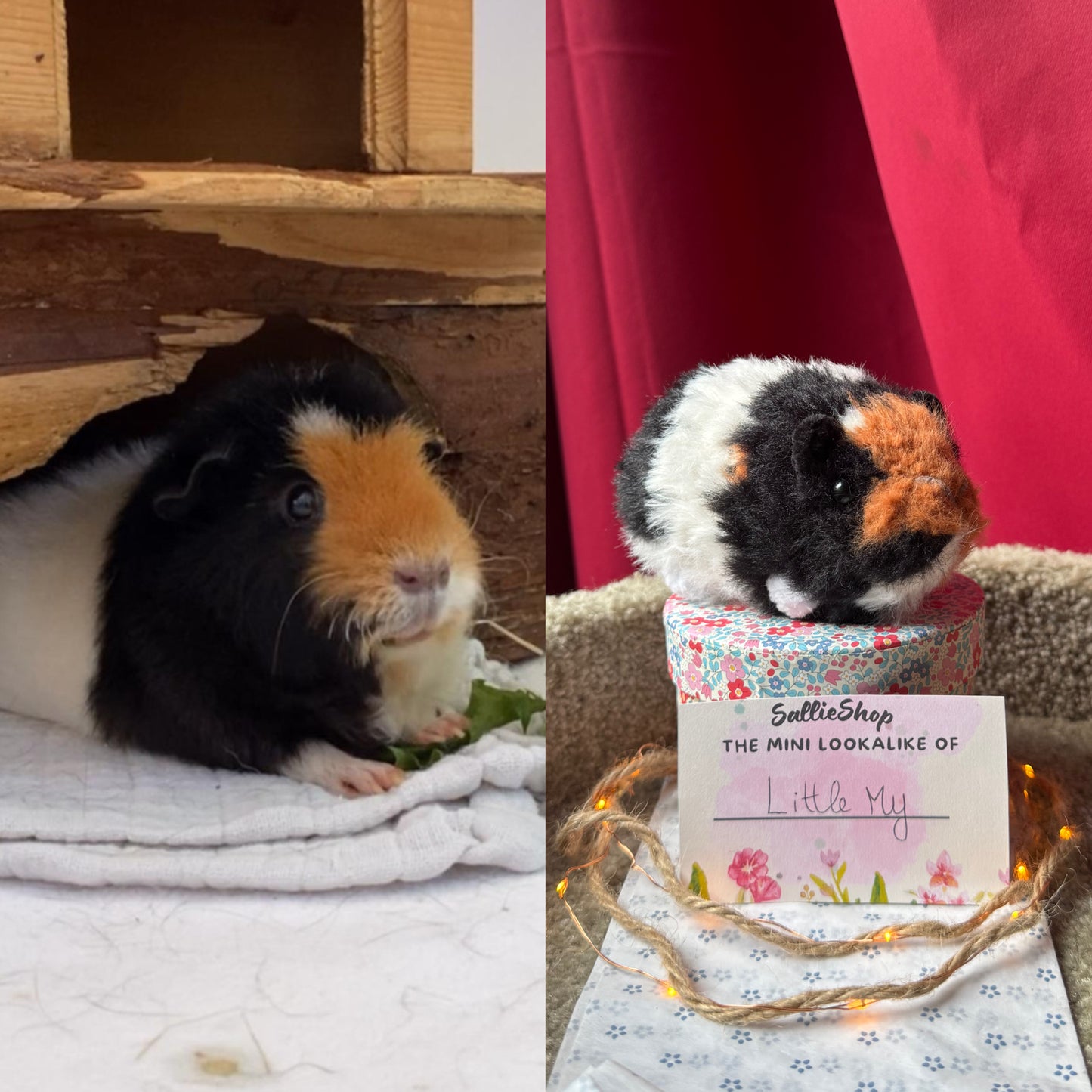 Cochon d’Inde Personnalisable Crochet