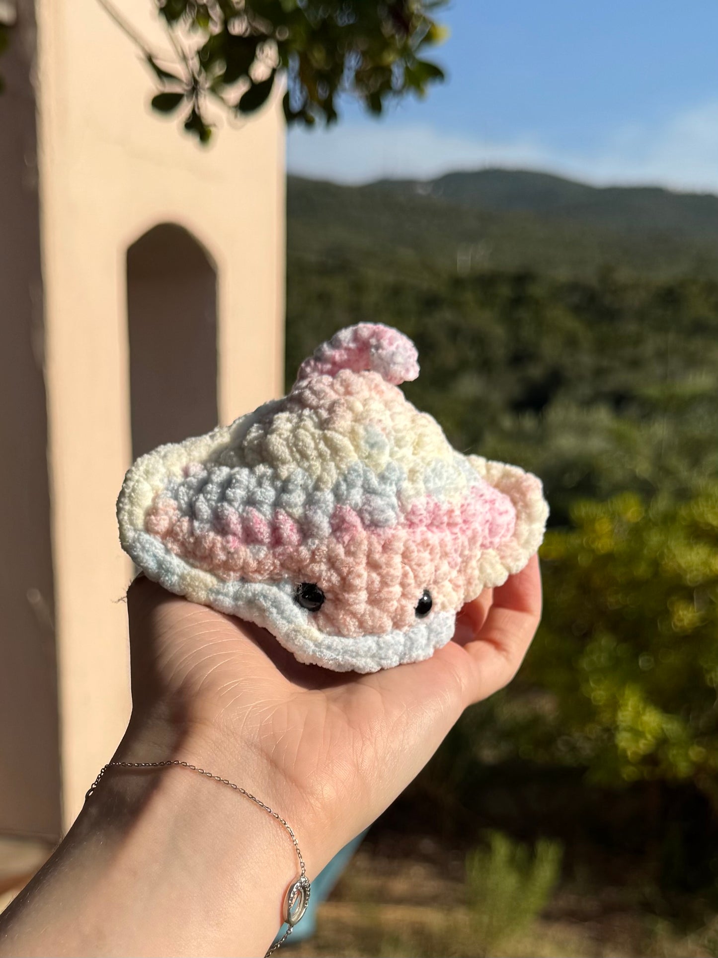 Raie au Crochet