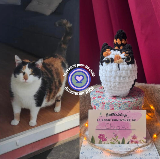 Chat Personnalisable Crochet