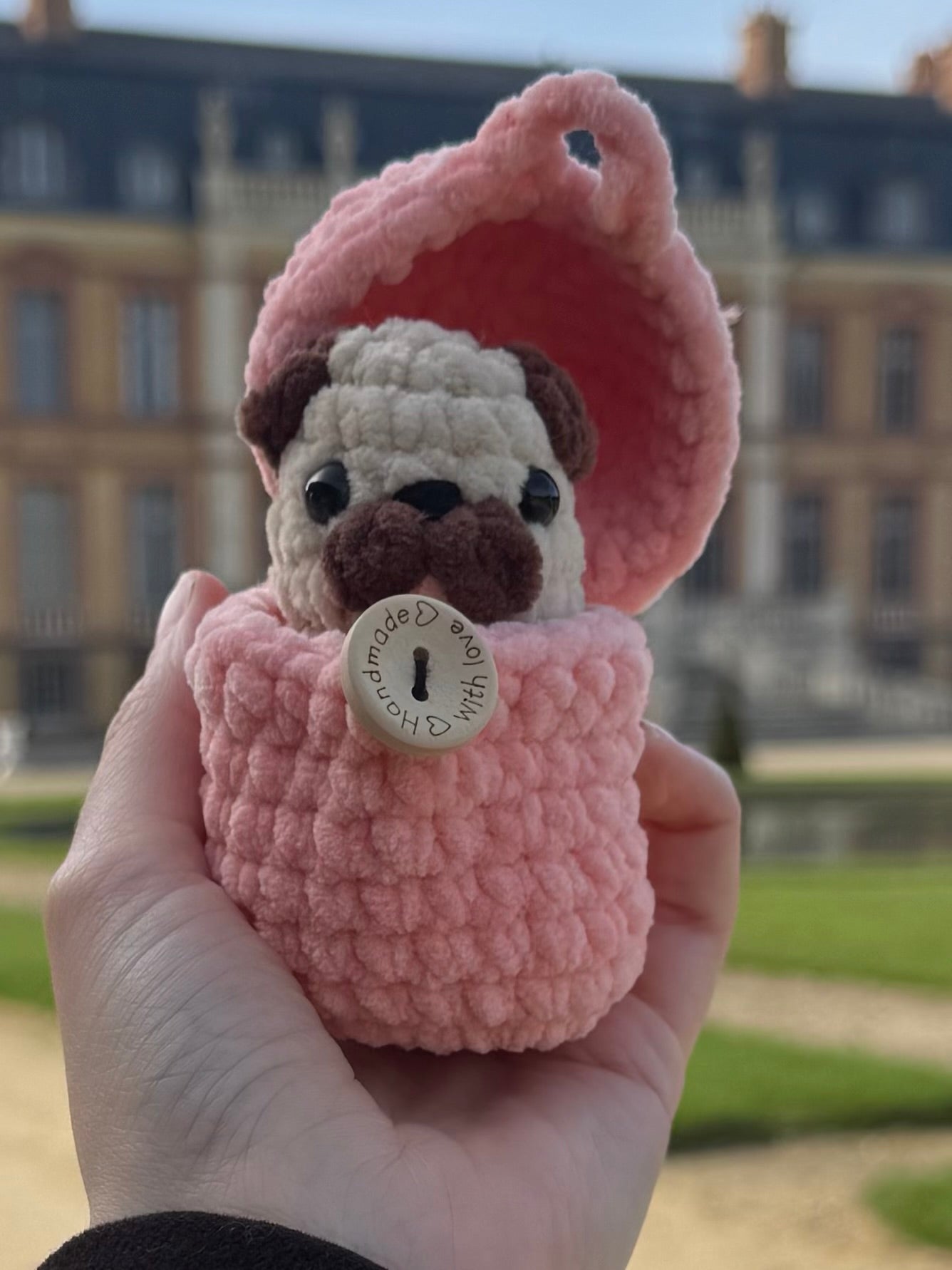 Chien œuf Crochet