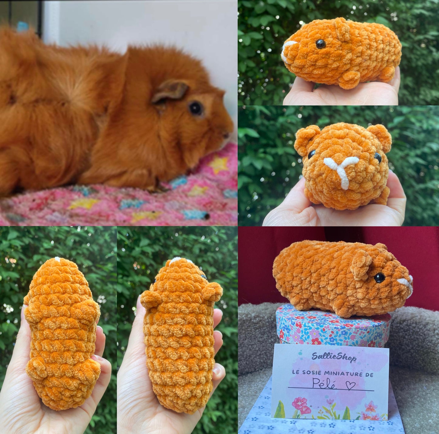 Cochon d’Inde Personnalisable Crochet