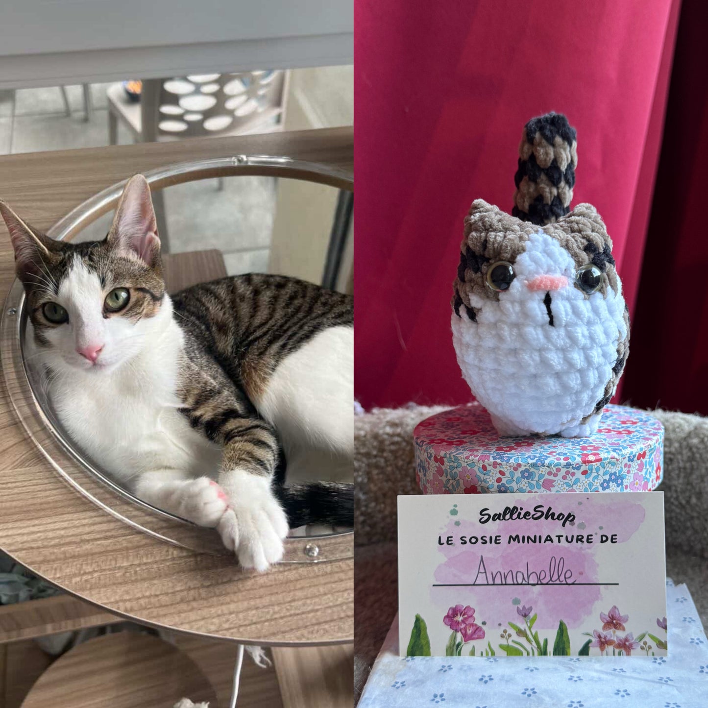 Chat Personnalisable Crochet