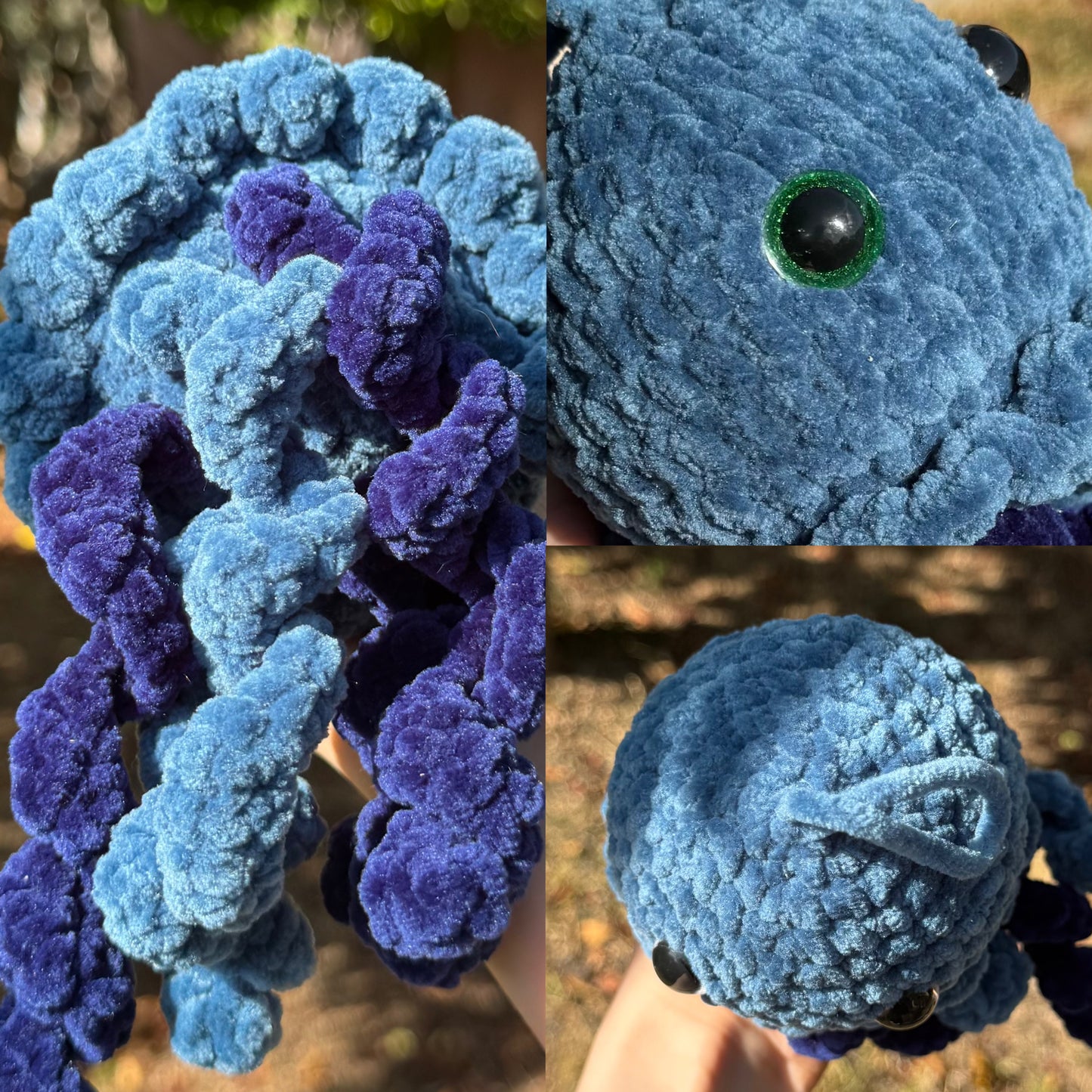 Méduse au Crochet
