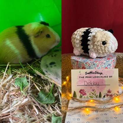Cochon d’Inde Personnalisable Crochet