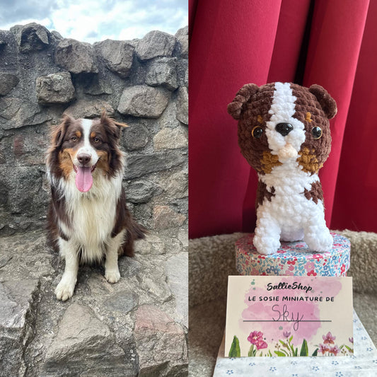 Chien Personnalisable Crochet