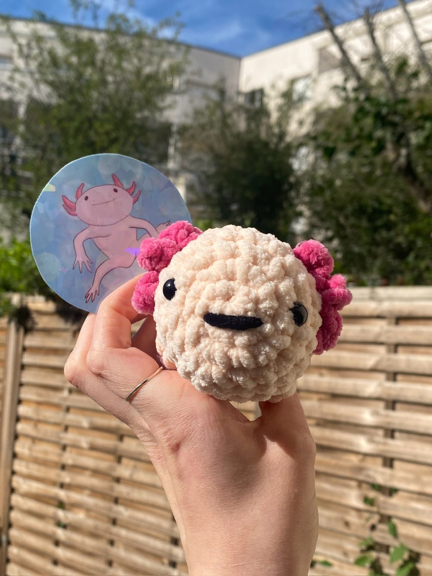 Set Peluche + Stickers Axolotl