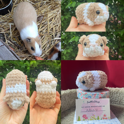 Cochon d’Inde Personnalisable Crochet