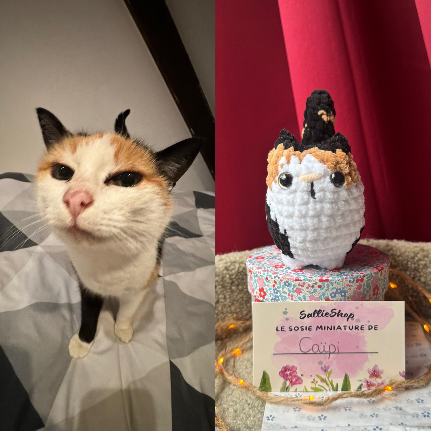 Chat Personnalisable Crochet