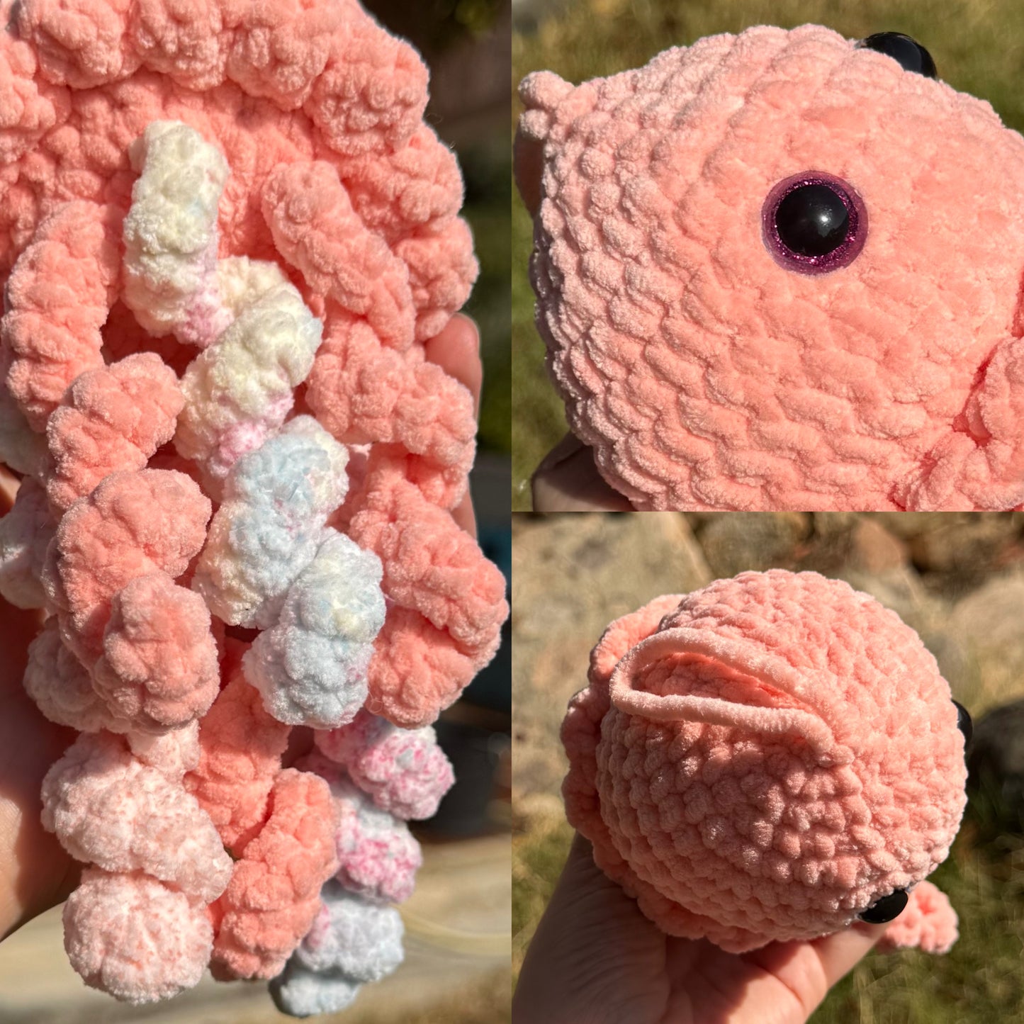 Méduse au Crochet