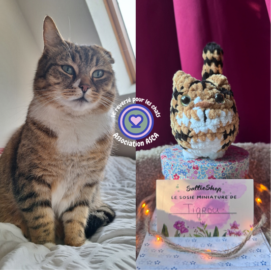 Chat Personnalisable Crochet