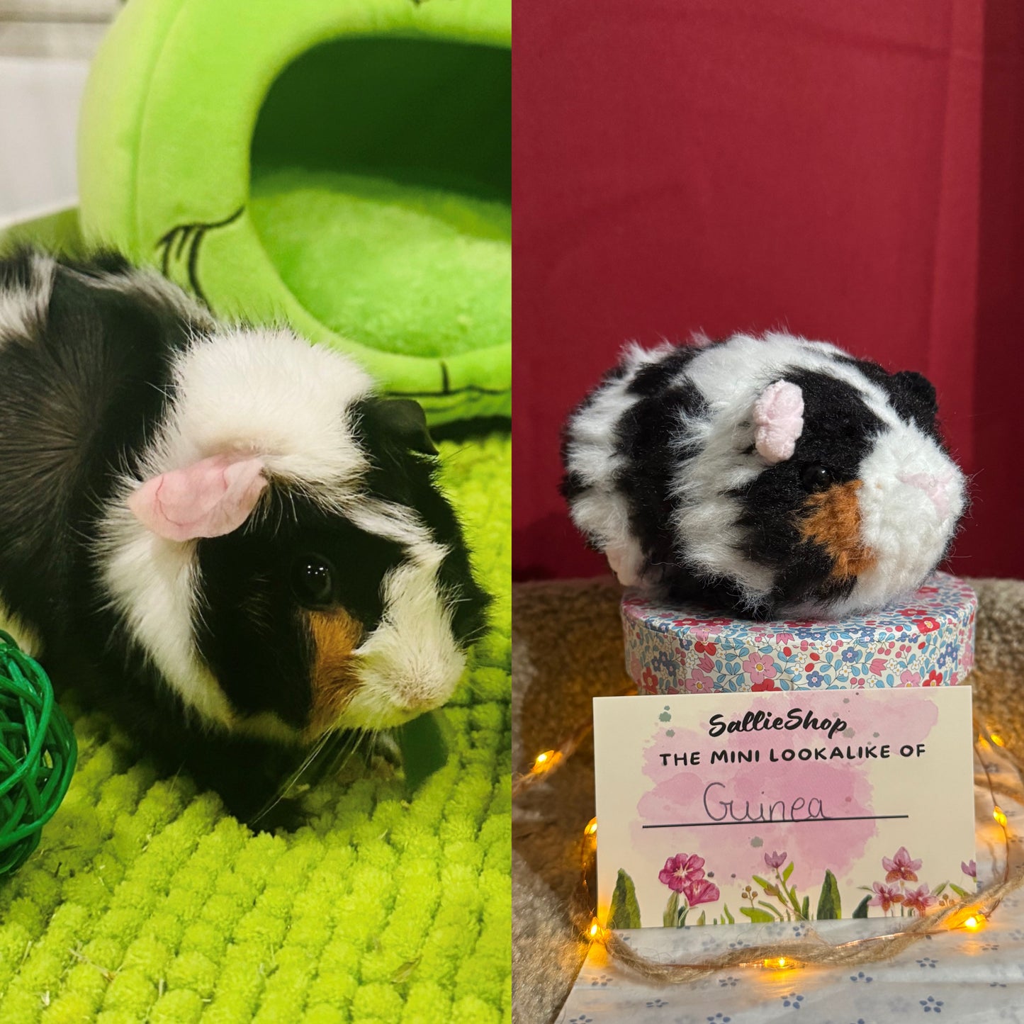 Cochon d’Inde Personnalisable Crochet
