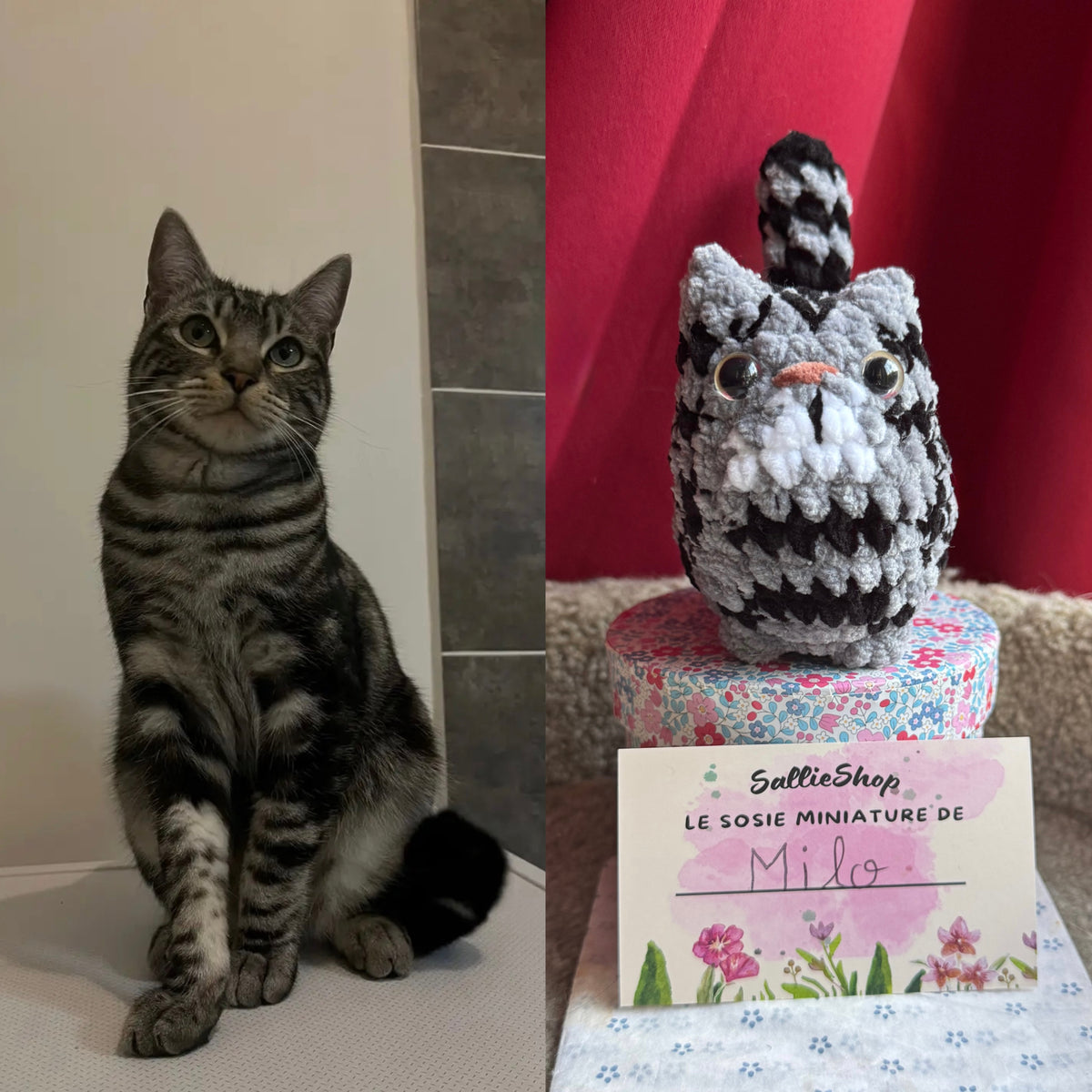 Chat Personnalisable Crochet