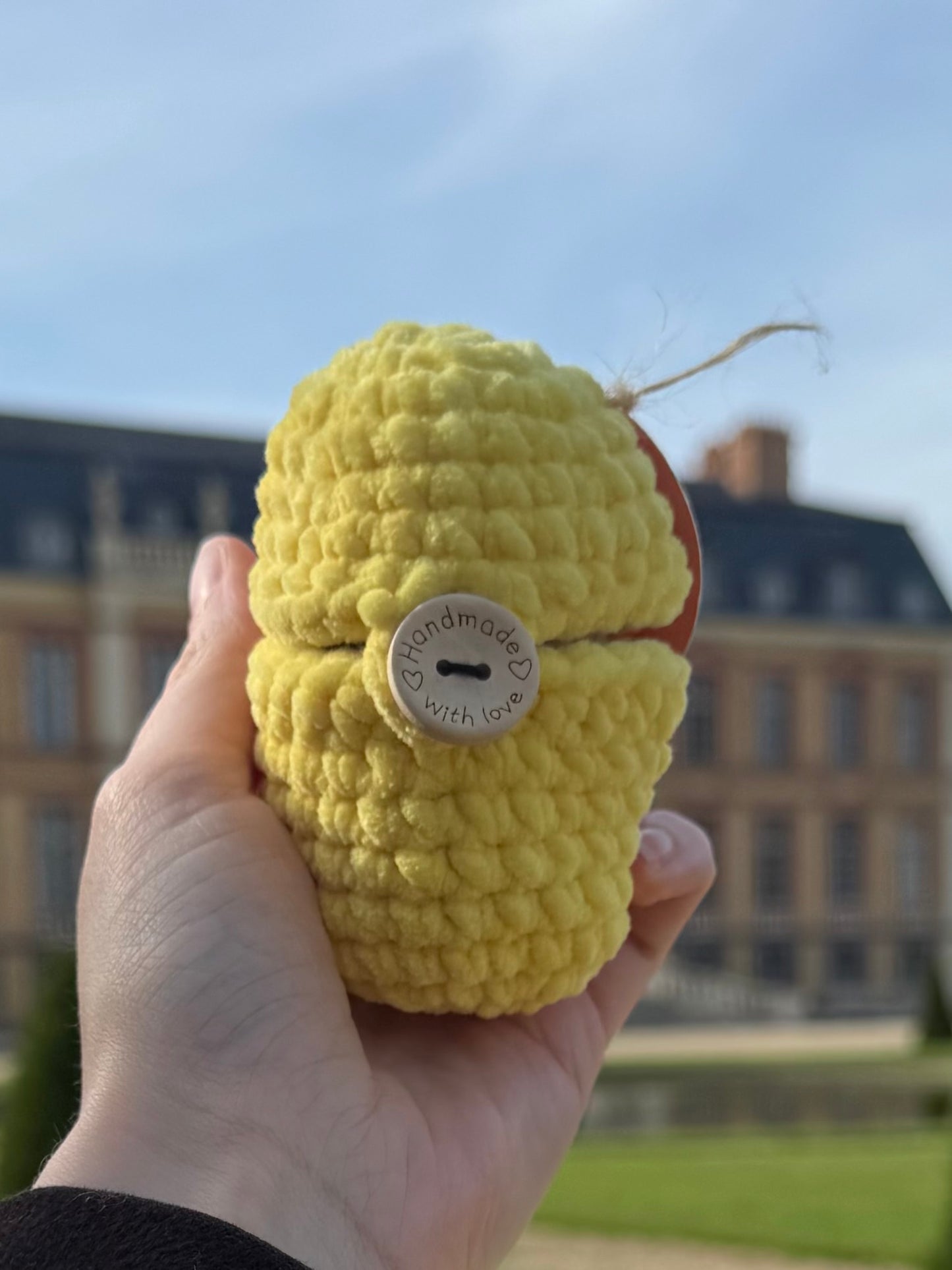 Chien œuf Crochet