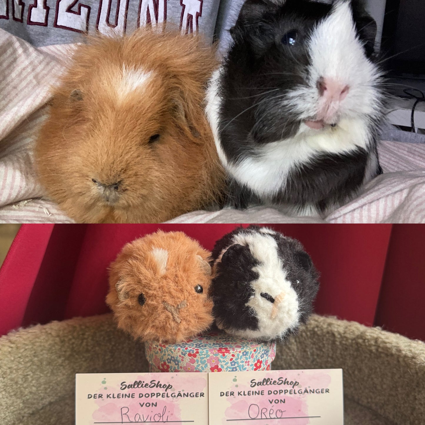 Cochon d’Inde Personnalisable Crochet