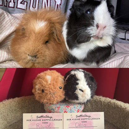 Cochon d’Inde Personnalisable Crochet