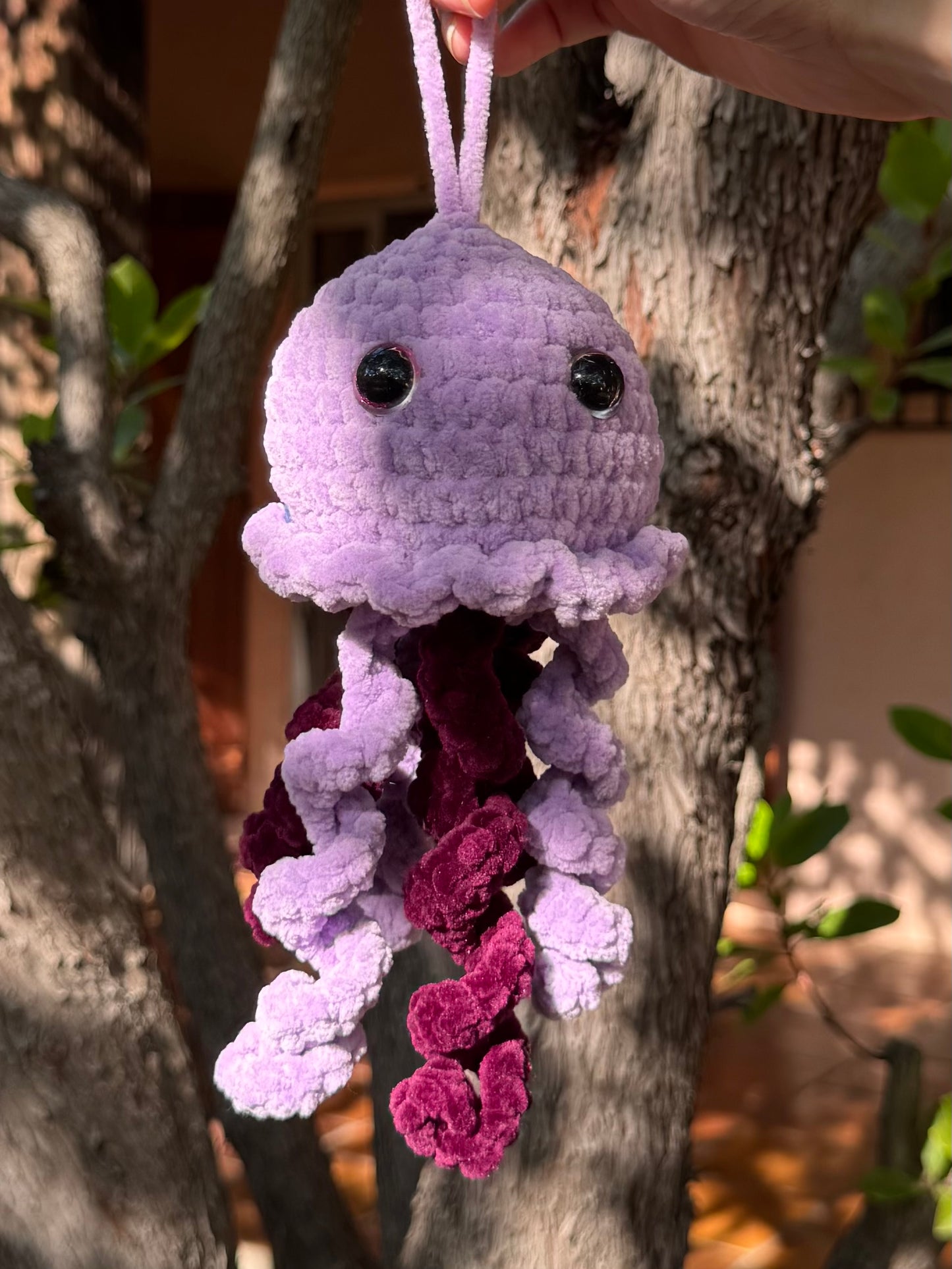 Méduse au Crochet