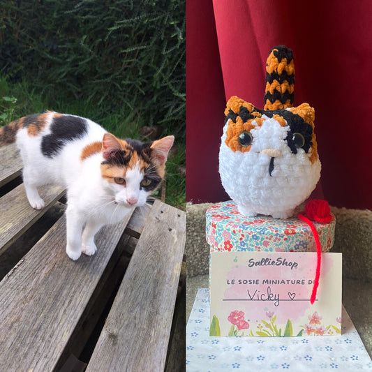 Chat Personnalisable Crochet