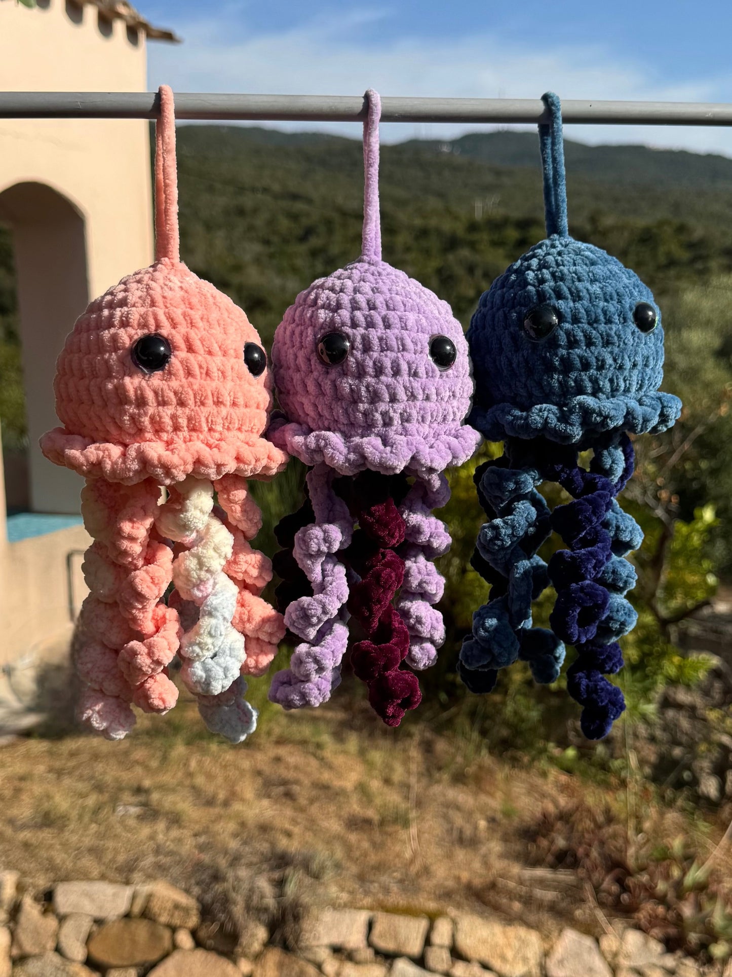 Méduse au Crochet