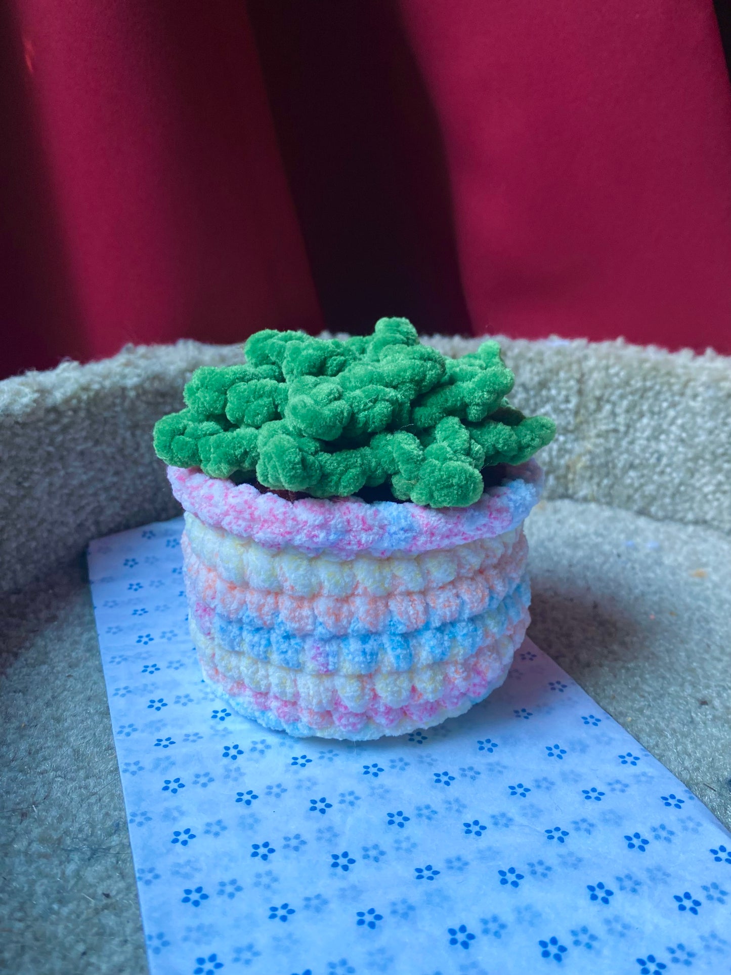 Plante Grasse Crochet