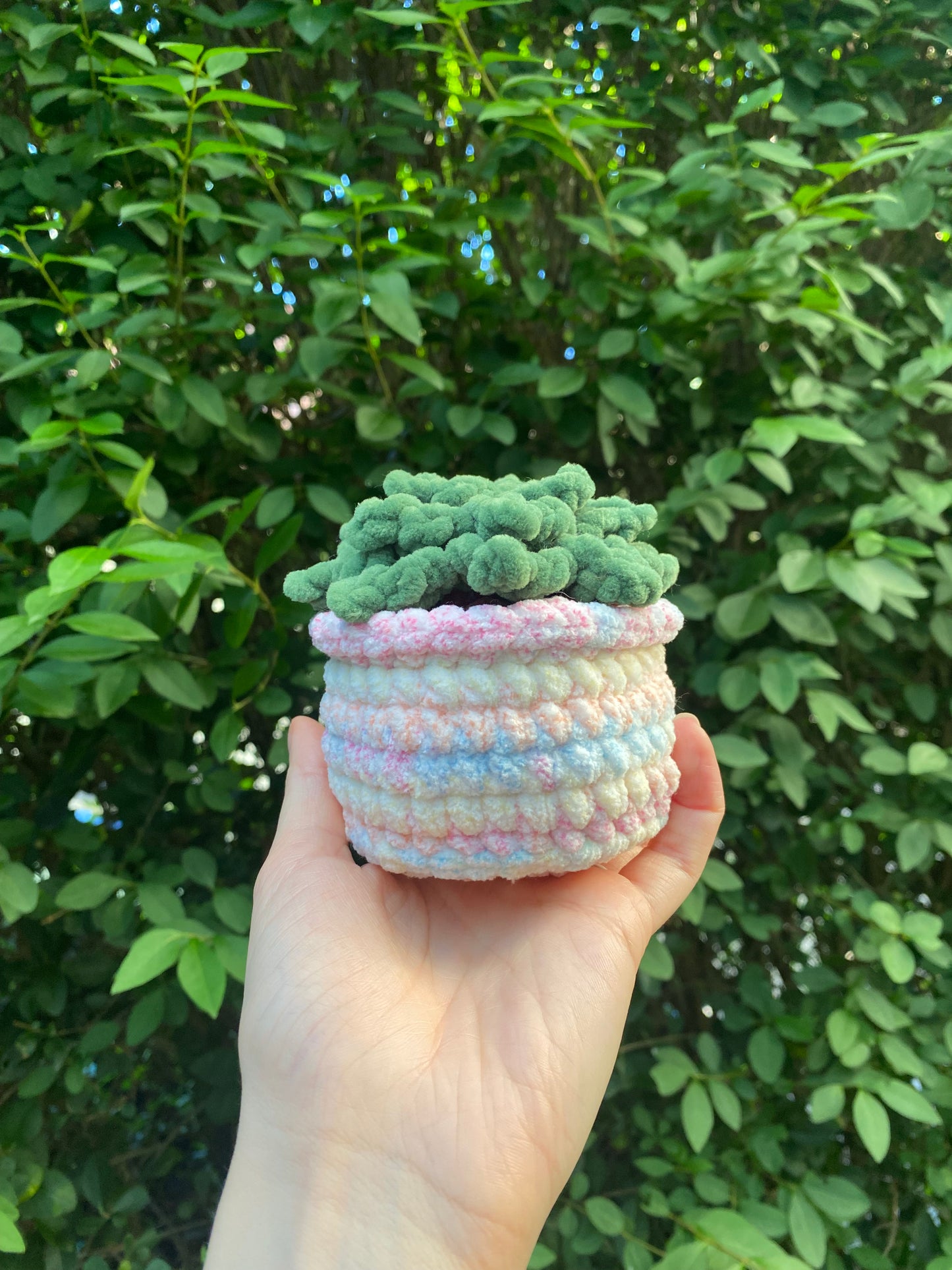 Plante Grasse Crochet