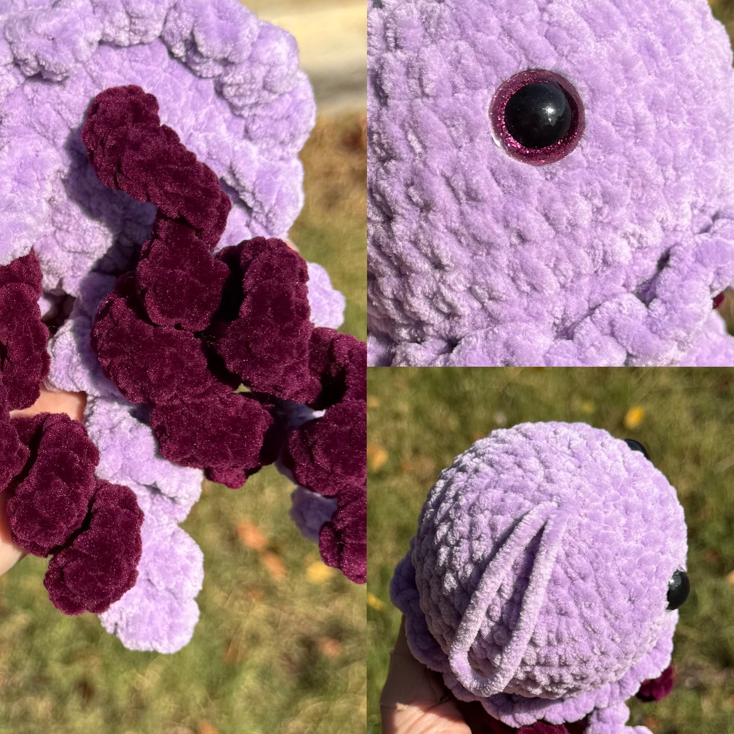 Méduse au Crochet