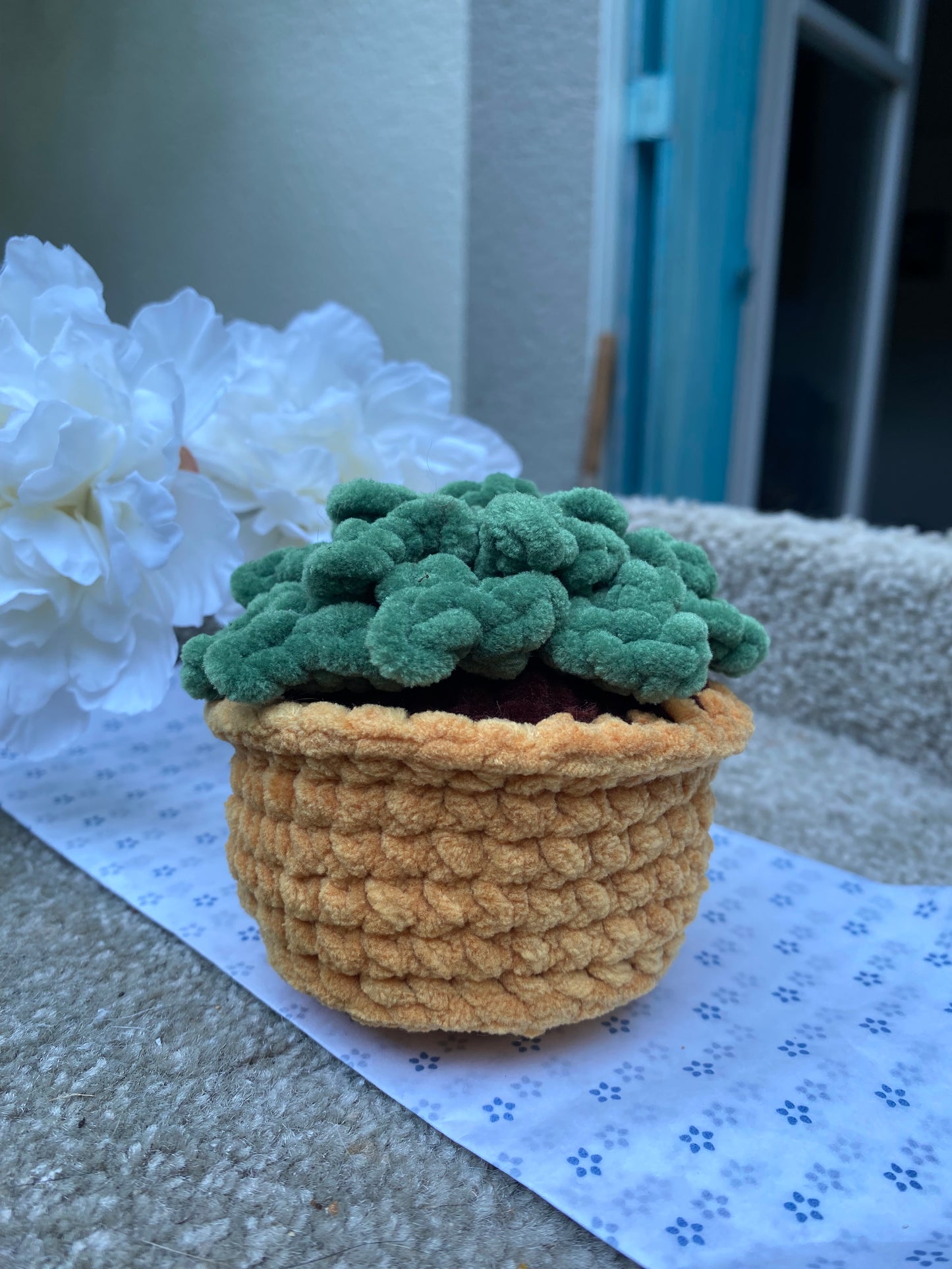 Plante Grasse Crochet