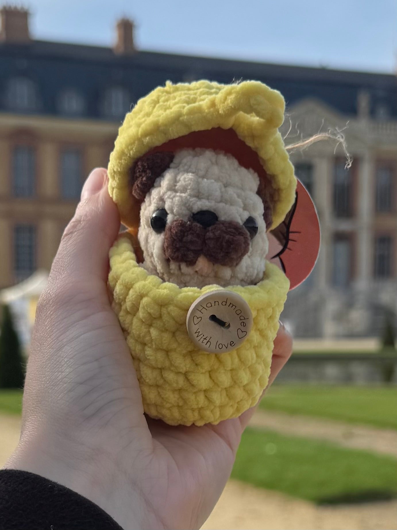Chien œuf Crochet
