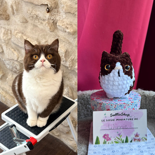 Chat Personnalisable Crochet