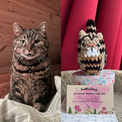 Chat Personnalisable Crochet