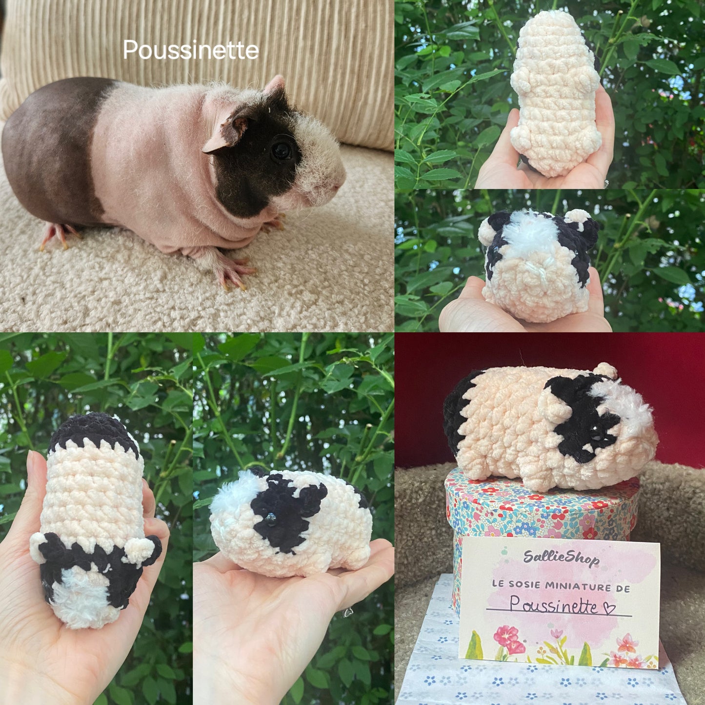 Cochon d’Inde Personnalisable Crochet