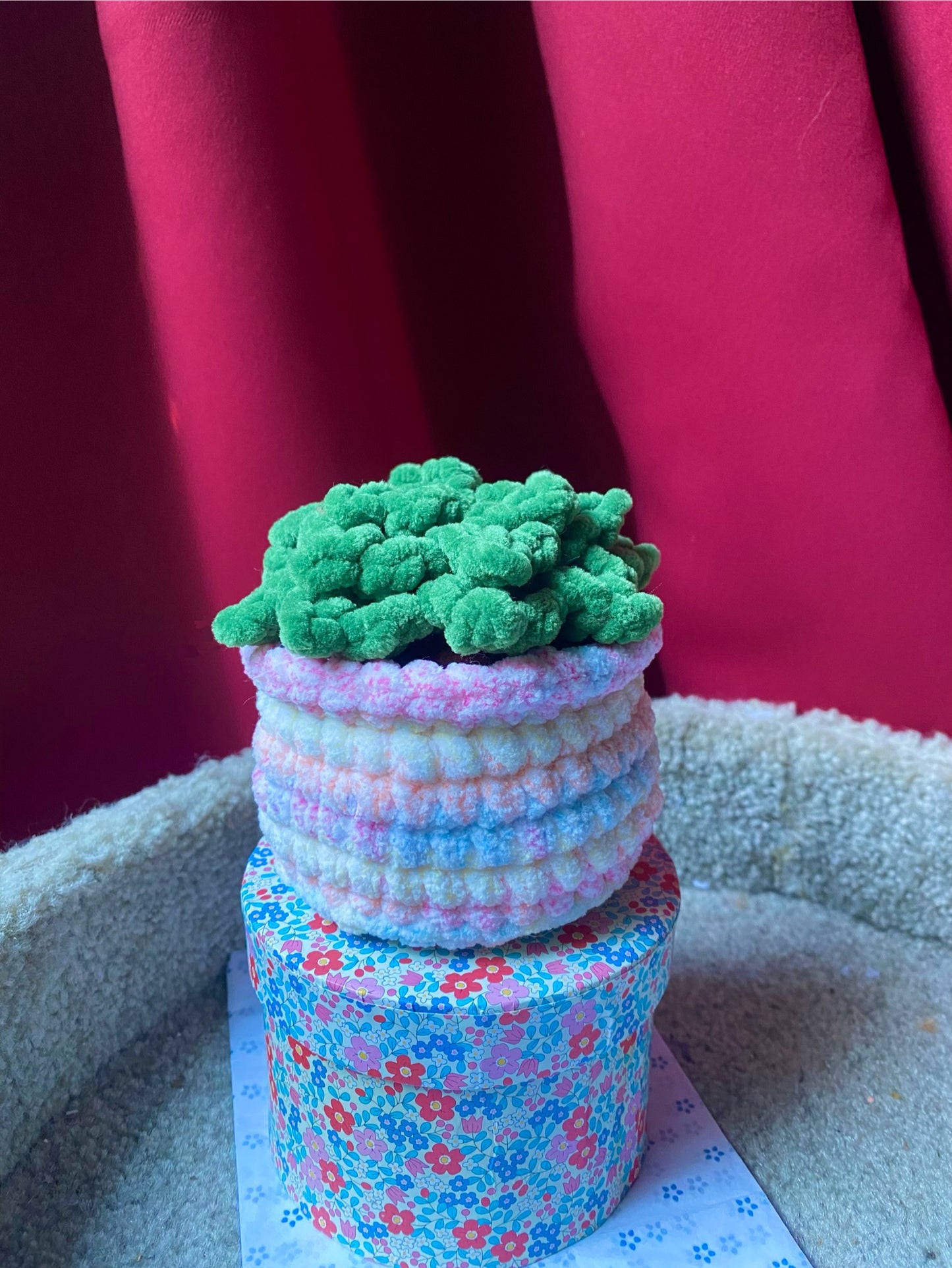 Plante Grasse Crochet