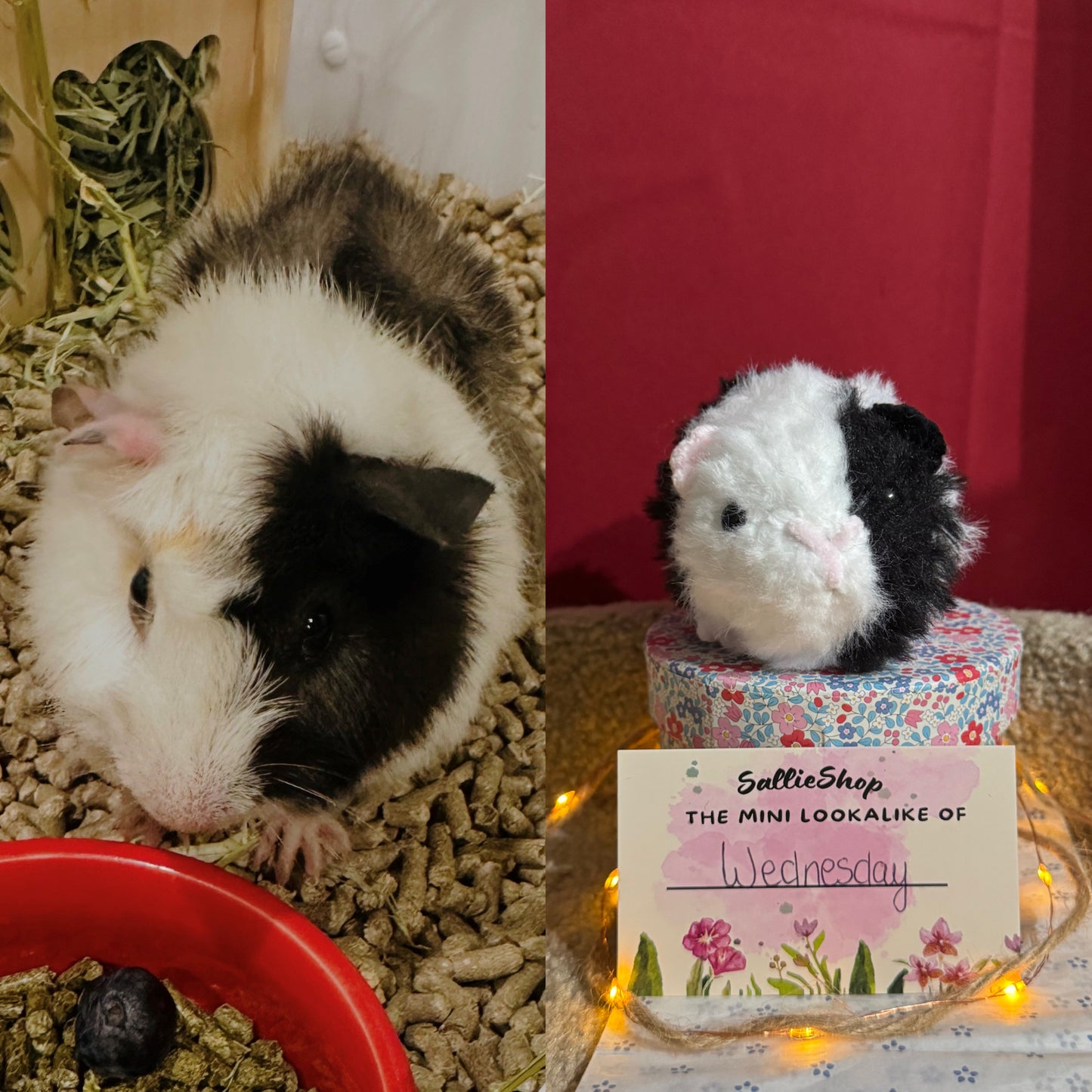 Cochon d’Inde Personnalisable Crochet