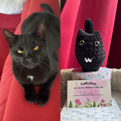 Chat Personnalisable Crochet