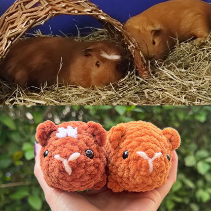 Cochon d’Inde Personnalisable Crochet