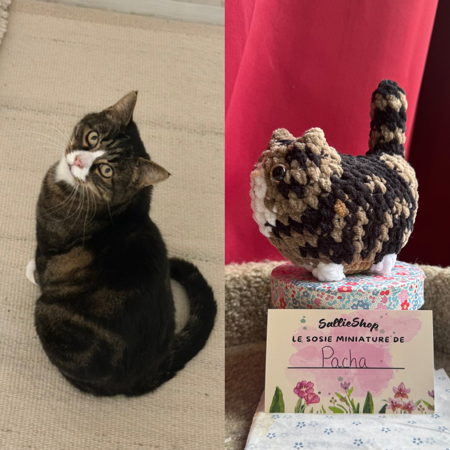 Chat Personnalisable Crochet